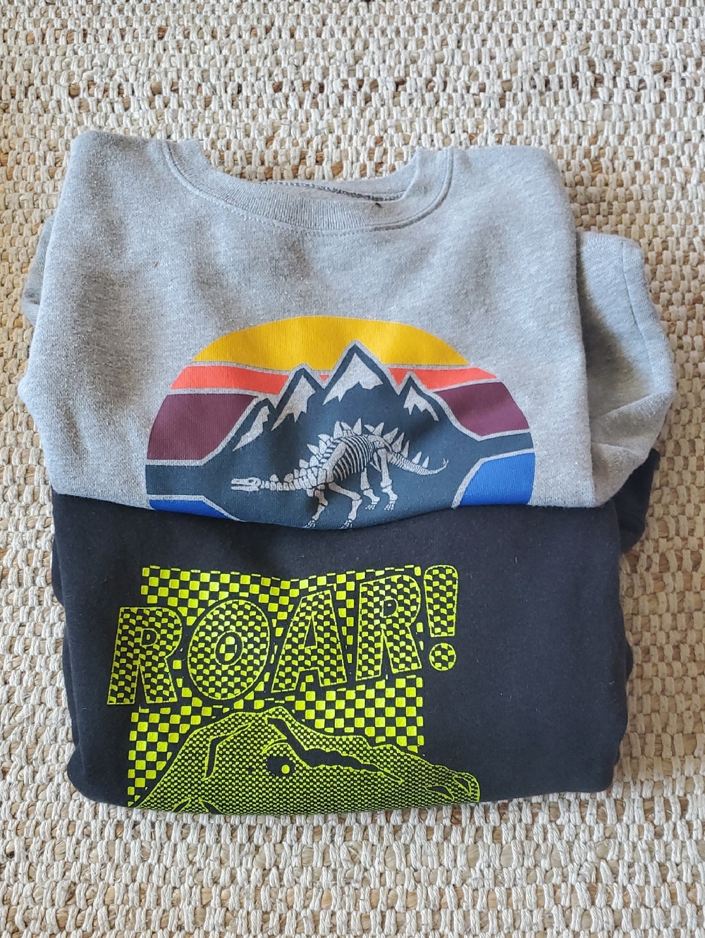 5T Graphic Sweatshirt - Gray & Black Dinosaur Designs